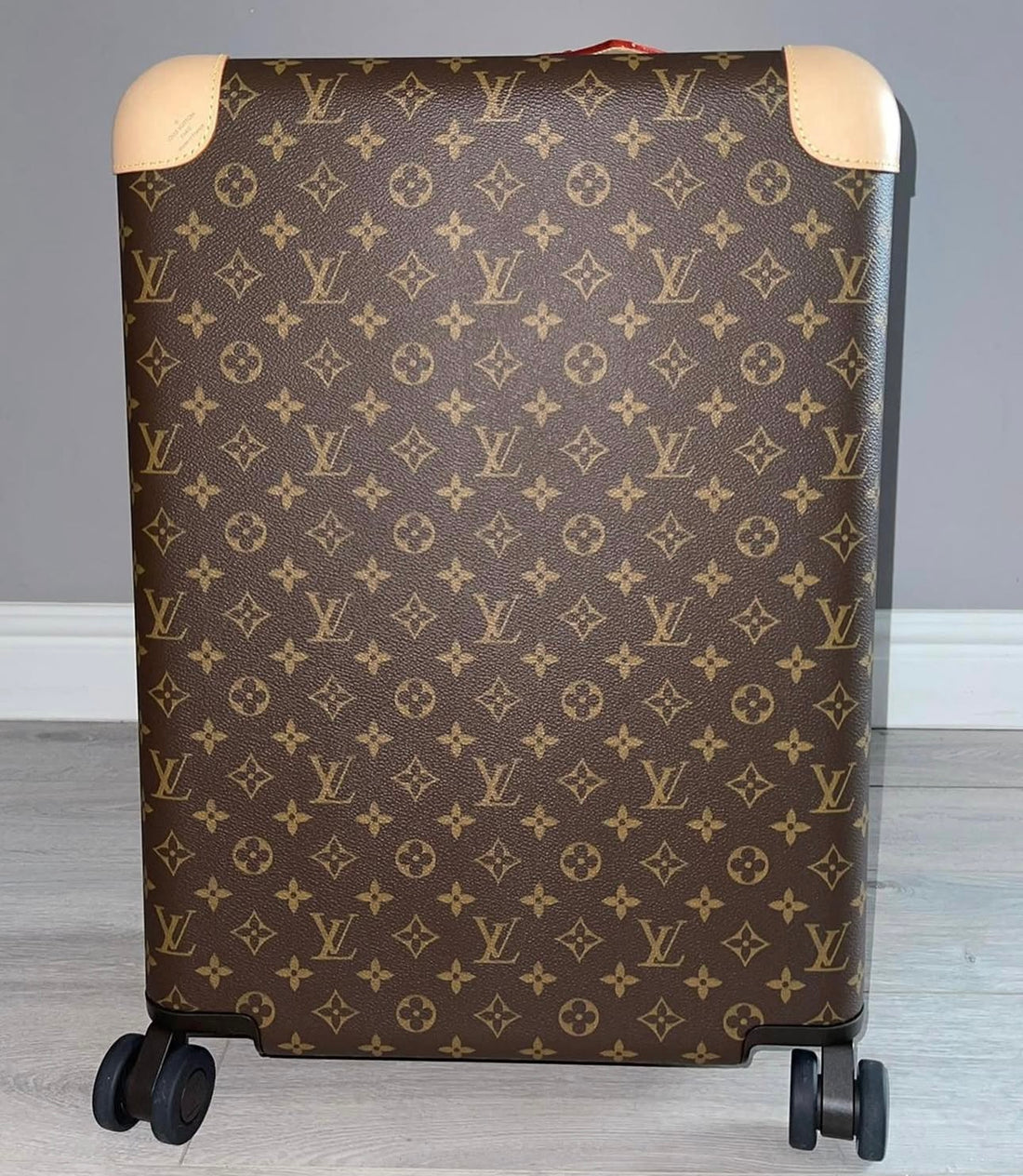 Valise cabine