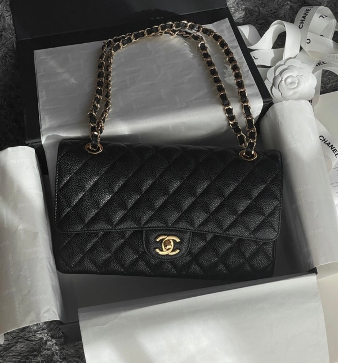 Sac Ch*nel